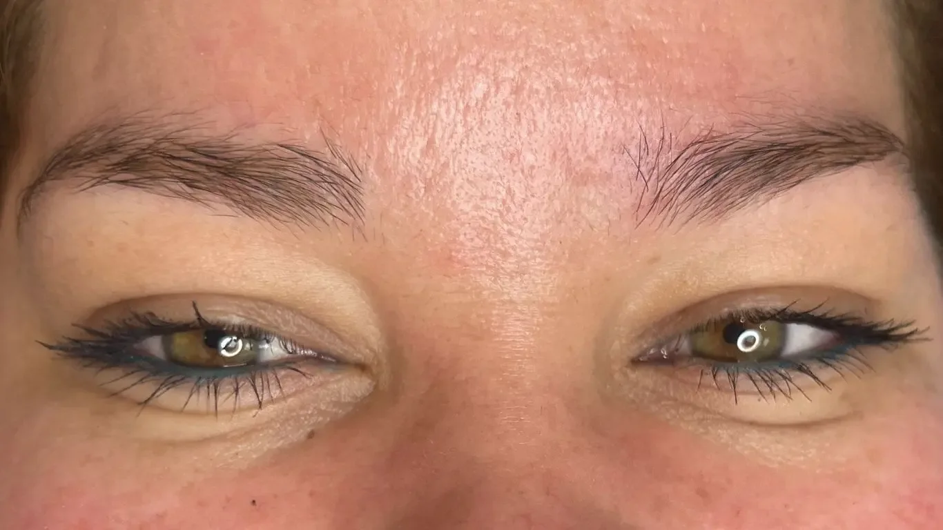 cejas antes (microshading)